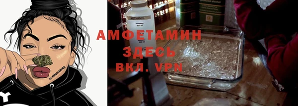 первитин Няндома