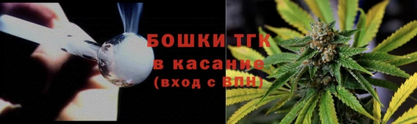 первитин Няндома